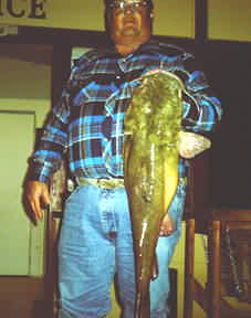 17.2 lb. Yellow Catfish caught by Bobby Love