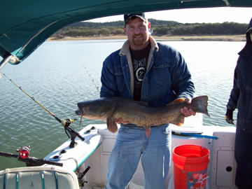 20.8 pound Flathead