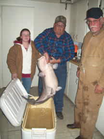 65 pound 2 ounce Blue Catfish caught by a 12 year old girl at Lake Buchanan